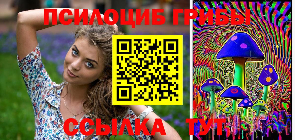 Псилоцибиновые грибы Psilocybe  Псилоцибиновые грибы прущие грибы  Вход с VPN  Сочи 