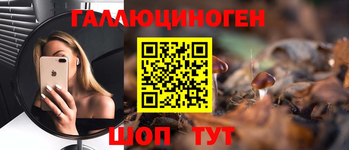 Галлюциногенные грибы Psilocybe Сочи